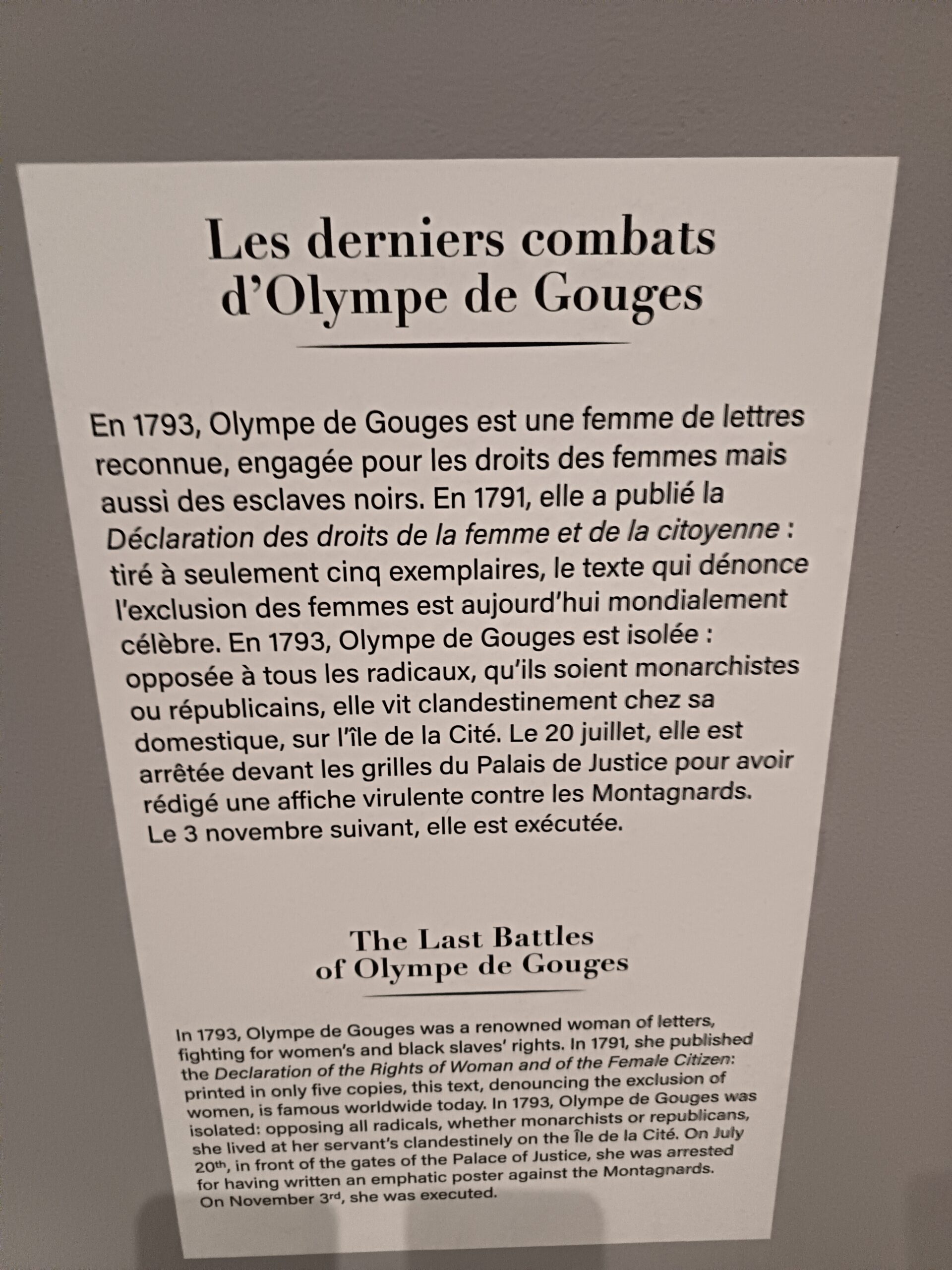 Le Comité de salut public en action