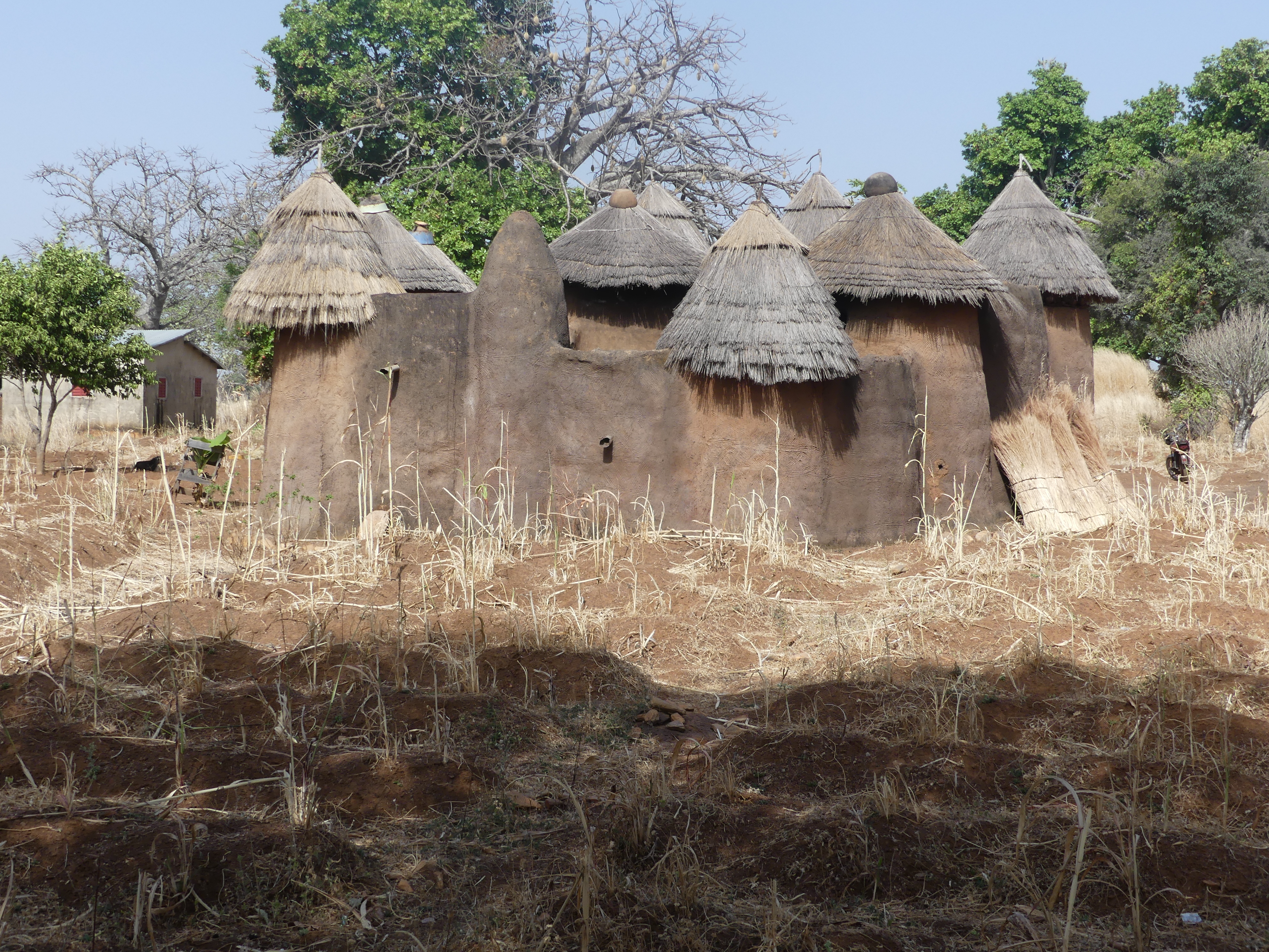 Les Tata Samba le long de la chaîne de montagne Atacora
